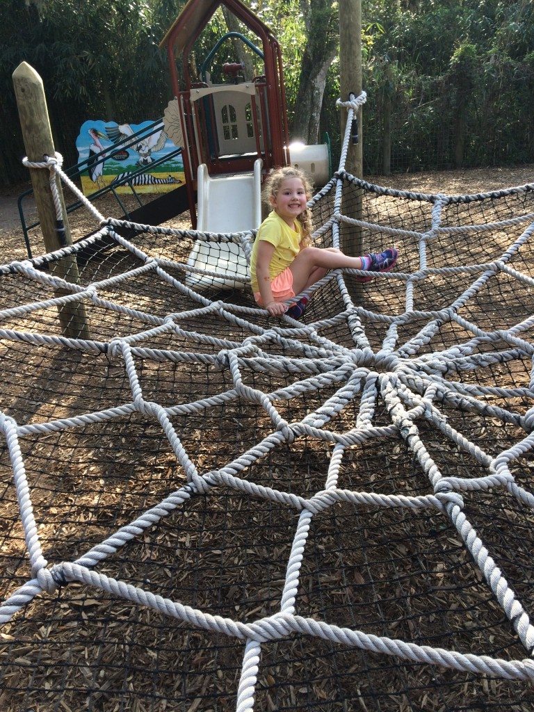SAAF playground web