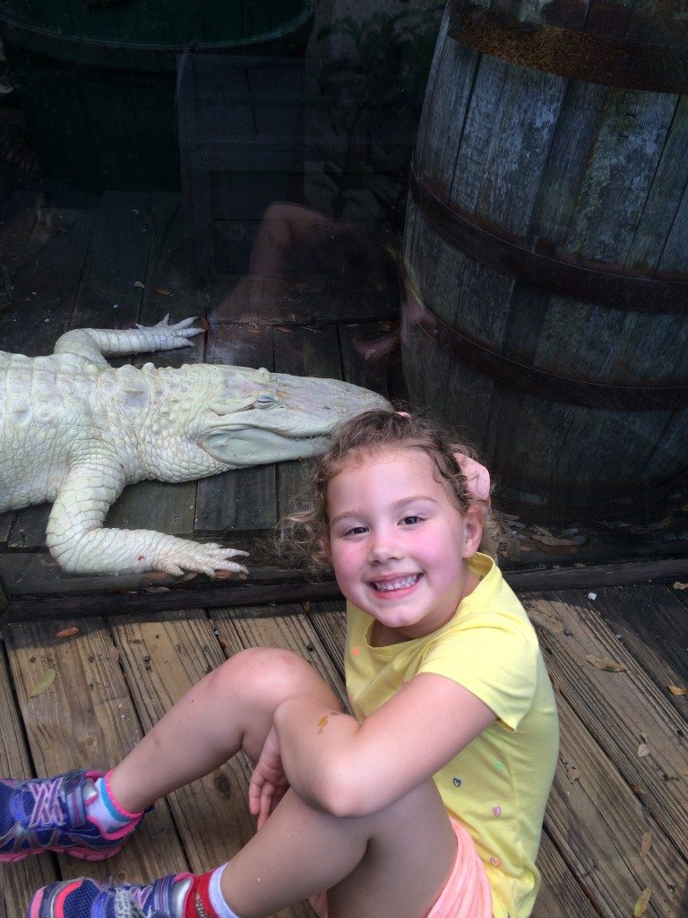 albino gator SAAF
