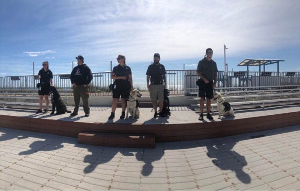 k9s for warriors trainees meet animals at marineland