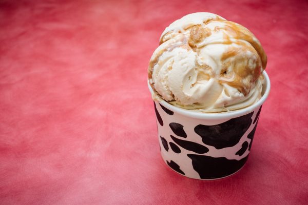 dulce de leche cheesecake ice cream cold cow st augustine
