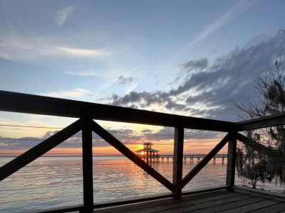 Hiking Trails to Try in Northern St Johns County