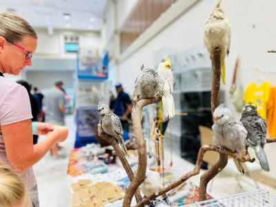 St. Augustine Bird Expo Brings Rare Birds, Breeders and Bird Lovers to World Golf Village