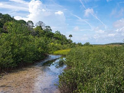 St. Johns County Land Conservation Referendum Moves Closer to November Ballot as Poll Shows Majority Support